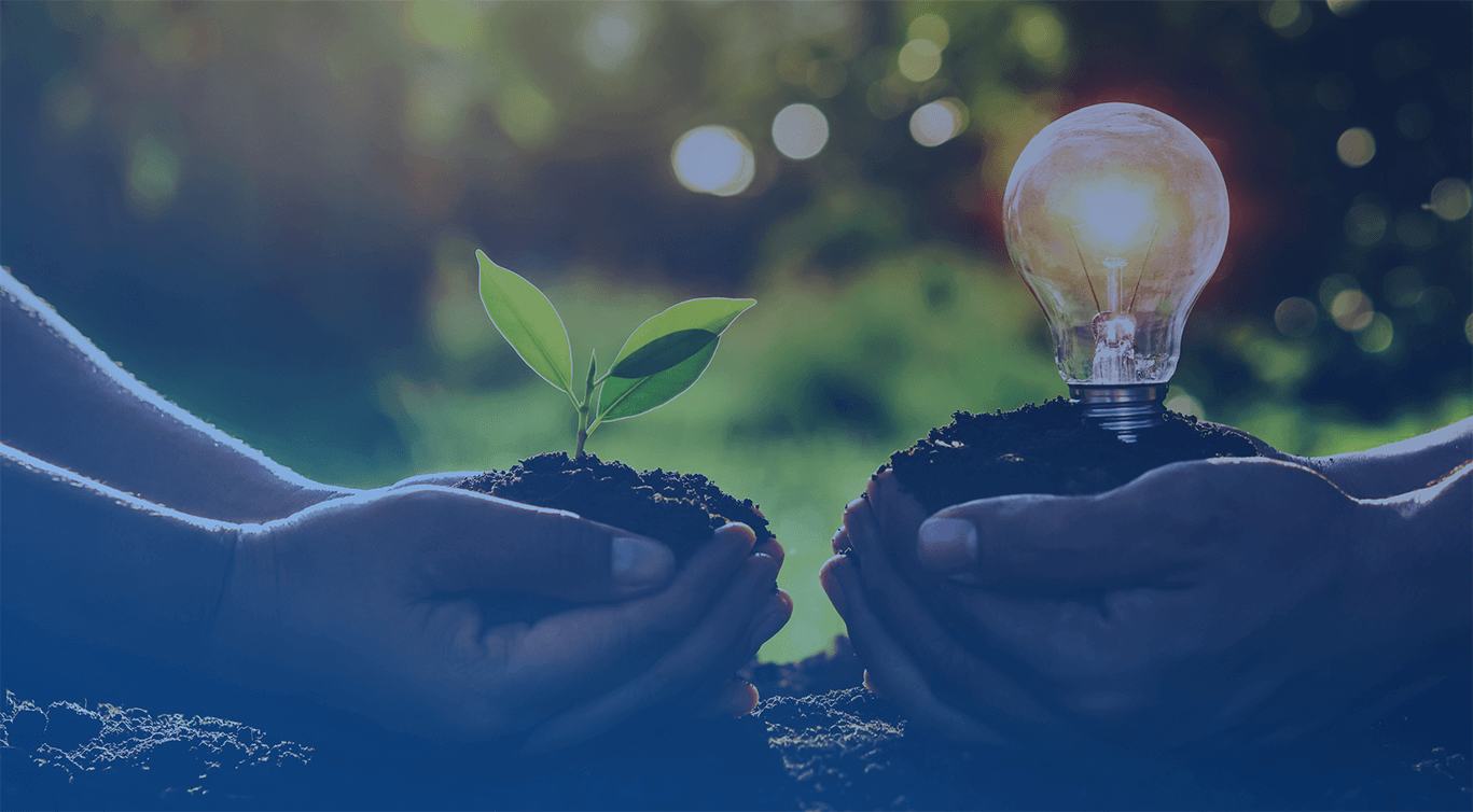 8 Effective ways to build a sustainable culture of innovation